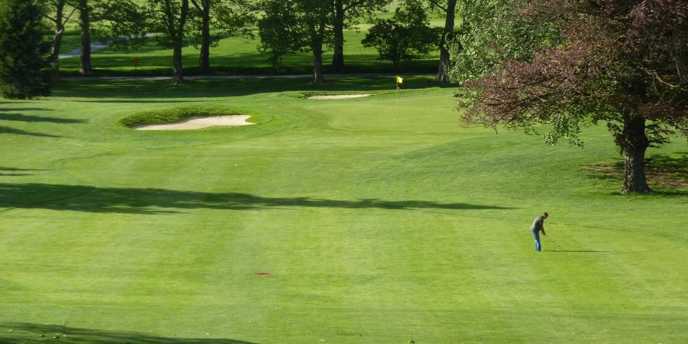 Brown Golf Growing Again