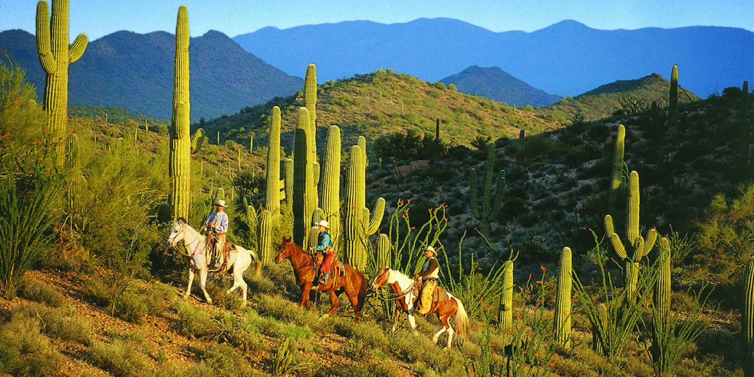 Los Caballeros Golf Club