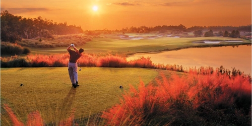 Golf Travel Insider
